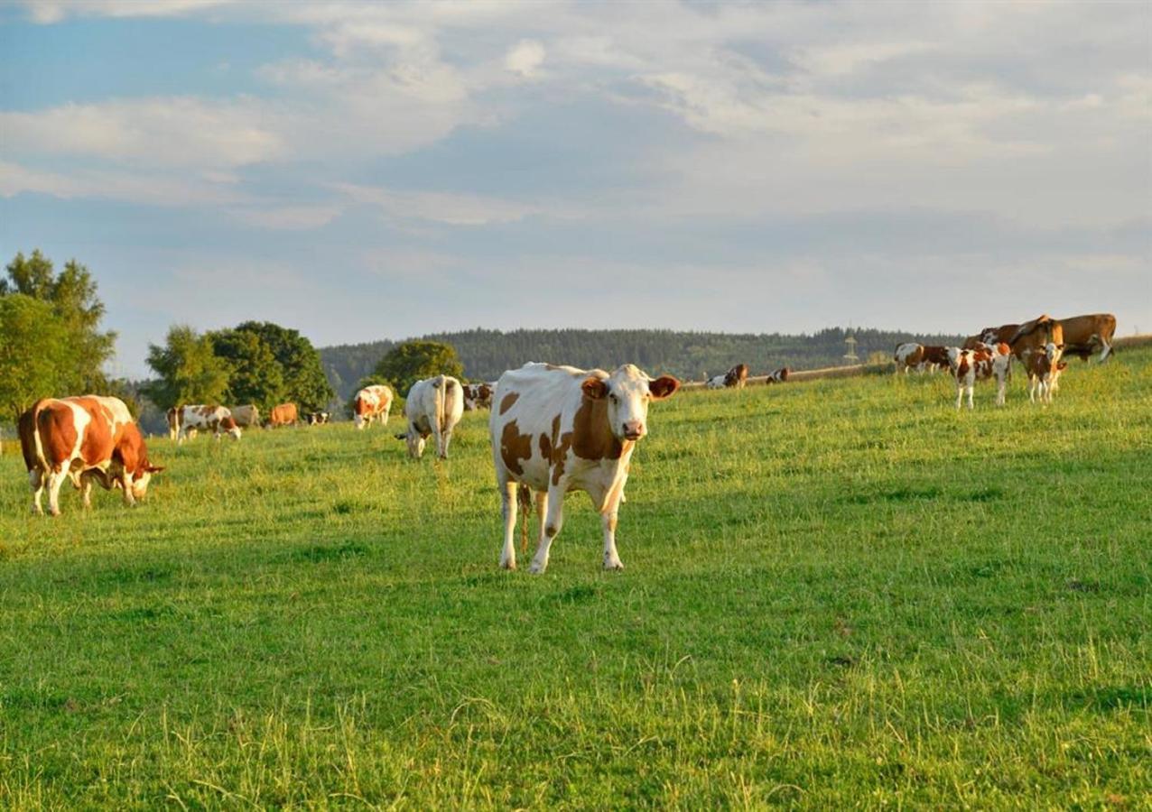 Ferienhof Kuerschner Drebach Extérieur photo