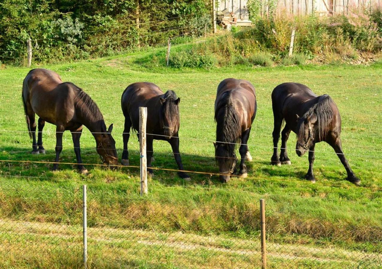 Ferienhof Kuerschner Drebach Extérieur photo